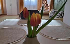 Pensiunea Casa Dorneană